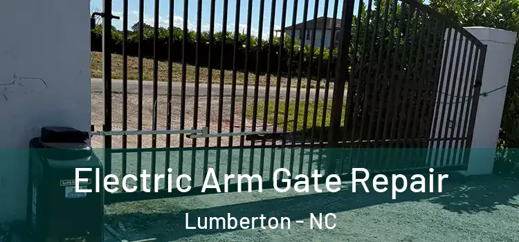 Electric Arm Gate Repair Lumberton - NC