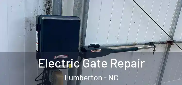 Electric Gate Repair Lumberton - NC