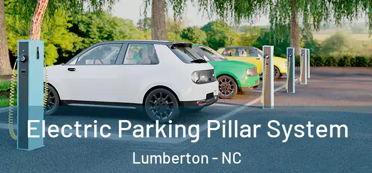 Electric Parking Pillar System Lumberton - NC