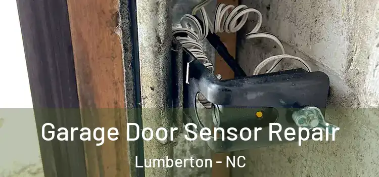 Garage Door Sensor Repair Lumberton - NC