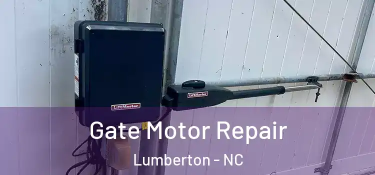 Gate Motor Repair Lumberton - NC