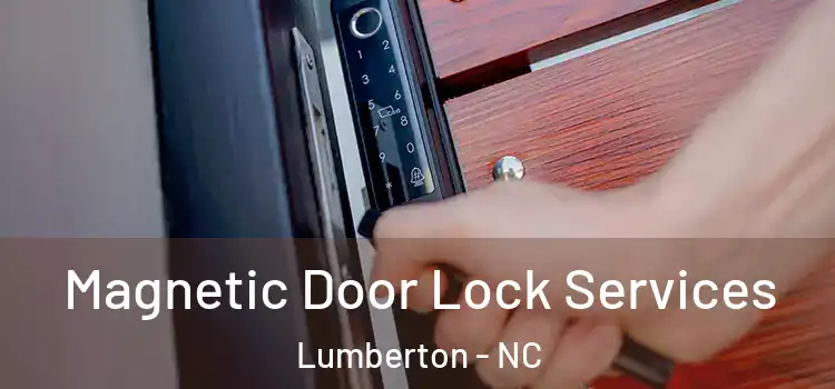 Magnetic Door Lock Services Lumberton - NC