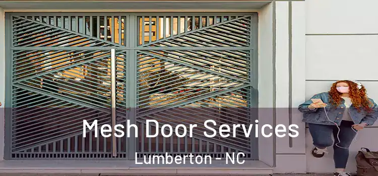 Mesh Door Services Lumberton - NC