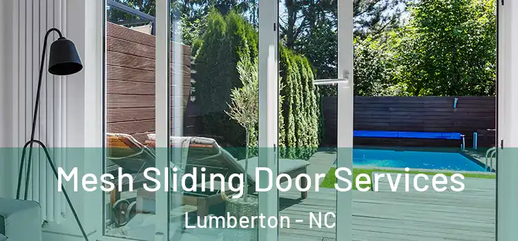 Mesh Sliding Door Services Lumberton - NC